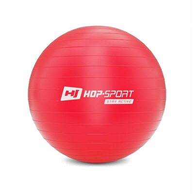 Фитбол (мяч для фитнеса) Hop-Sport 55cm красный + насос 2020