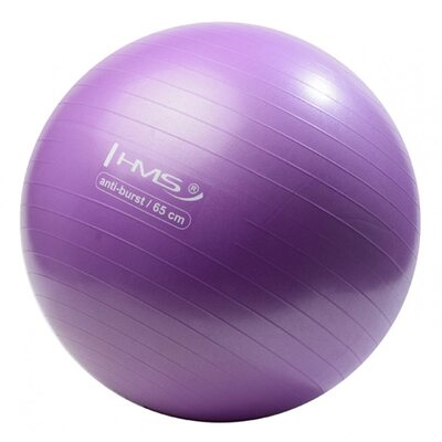 Фитбол (мяч для фитнеса, гимнастический) HMS YB02 65 см Anti-Burst Purple