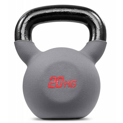 Гиря металева 20кг HS-I020KB