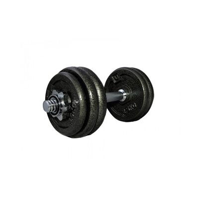 Гантель наборная железная 15 кг LiveUp LS2311-15