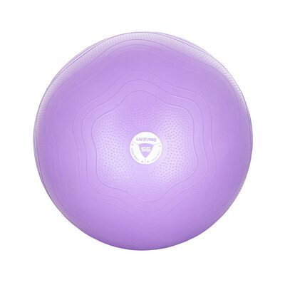 Фитбол (мяч для фитнеса) укрепленный LivePro ANTI-BURST CORE-FIT EXERCISE BALL LP8201-55