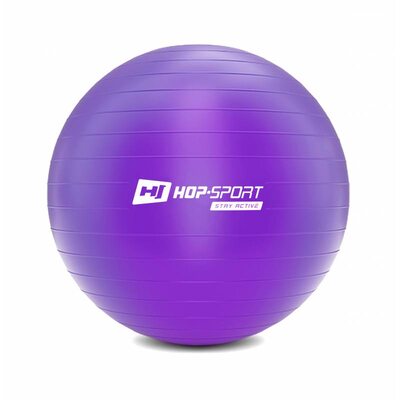 Фитбол (мяч для фитнеса) Hop-Sport 65cm фиолетовый + насос 2020