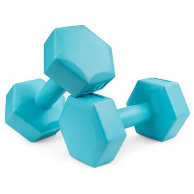 Набор гантелей для фитнеса композитных 2 х 2 кг Hop-Sport HS-C020DH