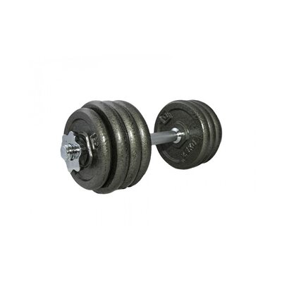 Гантель наборная железная 20 кг LiveUp LS2311-20