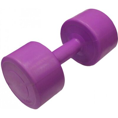 Гантель для фитнеса 4,5 кг Evrotop SS-LKDB-601-4.5 пластик фуксия