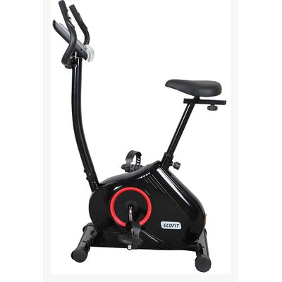 Велоэргометр EcoFit E-506BP