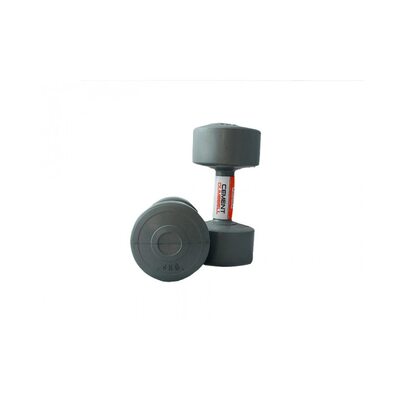 Гантели с пластиковым покрытием 2 х 4 кг LiveUp LS2003-4