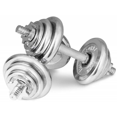 Гантелі хромовані Hop-Sport 2х10кг